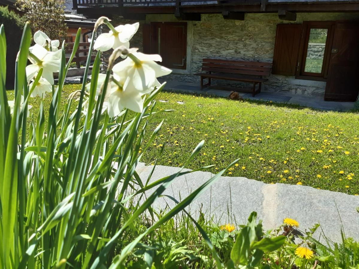 Sauze D'Oulx Ciabot La Garituela With Garden - Wifi- Close To The Chairlift Εξωτερικό φωτογραφία